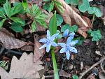 IMG-20170311-WA0007.jpg