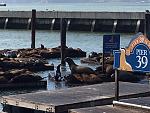 SFO 2017.JPG