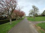 Langer Lauf 2017-04-02#02.jpg