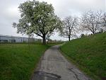 Langer Lauf 2017-04-02#03.jpg