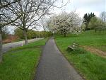Langer Lauf 2017-04-02#04.jpg