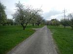 Langer Lauf 2017-04-02#05.jpg