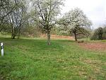 Langer Lauf 2017-04-02#08.jpg
