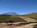Stellenbosch_run.jpg