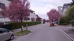 IMG-20170405-WA0004.jpeg