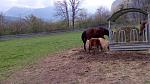 IMG-20170405-WA0002.jpeg