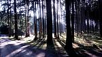 IMG_20170408_091459.jpg