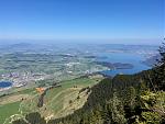 IMG_2446.jpg