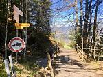 IMG_2453.jpg