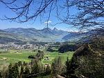 IMG_2454.jpg