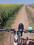 20170409_113735.jpg