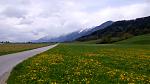 IMG-20170415-WA0009.jpeg