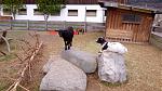 IMG-20170415-WA0011.jpeg