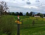 IMG_2464.jpg