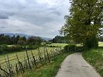 IMG_2466.jpg