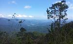 20170414_115907.jpg