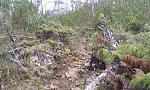 20170414_125920.jpg