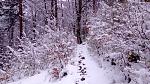 IMG-20170419-WA0027.jpeg