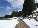 IMG_2502.jpg