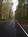 IMG_3564.JPG