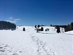 IMG_2515.jpg