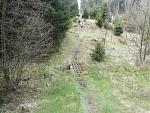 002-Harzquerung 2017 - Anstieg im Wald, km 13.jpg