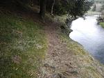 03-Harzquerung 2017 - Hakelige Passage an der Warmen Bode, km 17,5.jpg