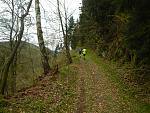 10-Harzquerung 2017 - Anstieg zum Poppenberg, km34.jpg
