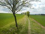 18-Harzquerung 2017 - Pfad Richtung Nordhausen, km 46.jpg