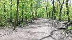 20170512_135630.jpg