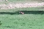 20170512_140757.jpg