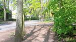 20170512_140715.jpg