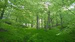 IMG_0457.JPG