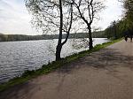 DSC04195(1).JPG