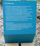 20170514_141125.jpg