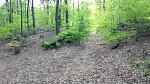 20170514_141604.jpg