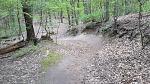 20170514_144013.jpg