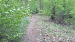 20170514_145051.jpg