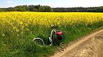 160517_1.jpg