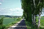 DSC06718.jpg