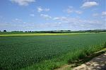 DSC06719.jpg