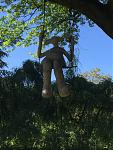 IMG_1154.JPG
