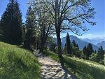 IMG_3425.jpg