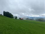 IMG_4099.jpg