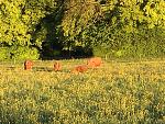 IMG_4166(1).JPG