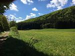 IMG_4176(1).JPG