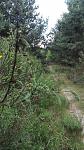 parforceheide.jpg