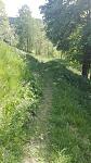 trails.jpg