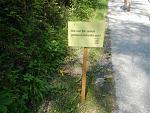 DSCN3680.jpg