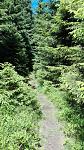 Trail 3.jpg